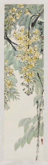 藏品:黃金滿樹的(1)張圖片