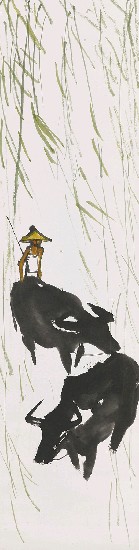 藏品:牛的(1)張圖片