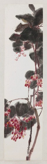 藏品:花的(1)張圖片