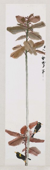 藏品:九官鳥與紅葉的(1)張圖片