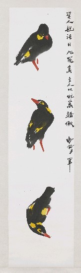 藏品:九冠鳥的(1)張圖片