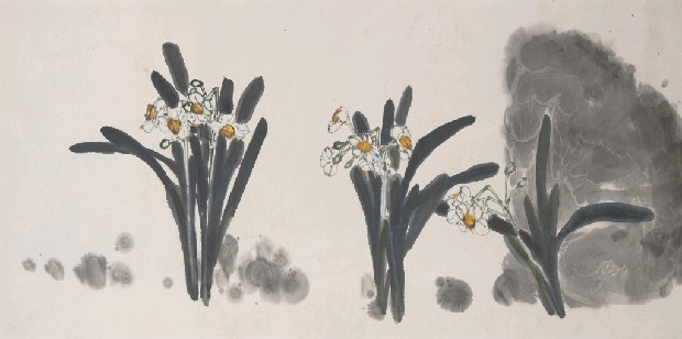 藏品:水仙的(1)張圖片