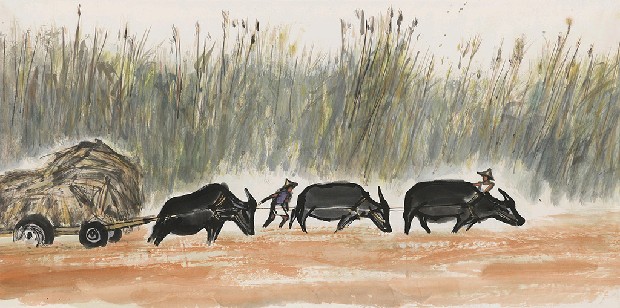 藏品:拖(蔗田)的(1)張圖片