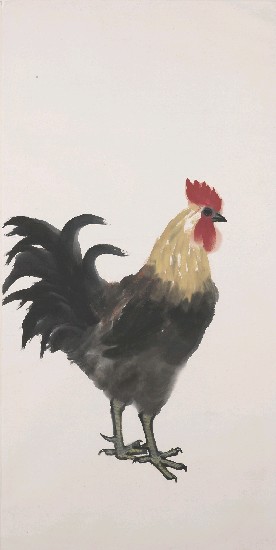 藏品:公雞的(1)張圖片