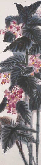 藏品:海棠的(1)張圖片