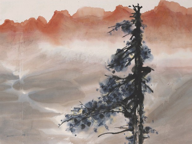 紅山孤樹的焦點圖