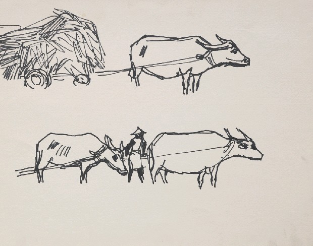 藏品:拖蔗車的(1)張圖片