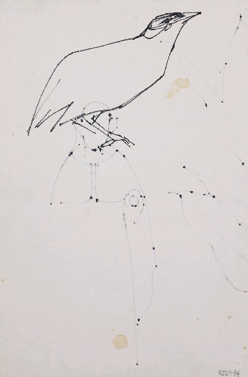 藏品:鳥/人物的(2)張圖片