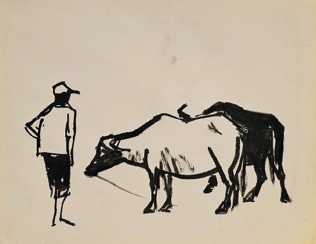 藏品:農夫的(1)張圖片