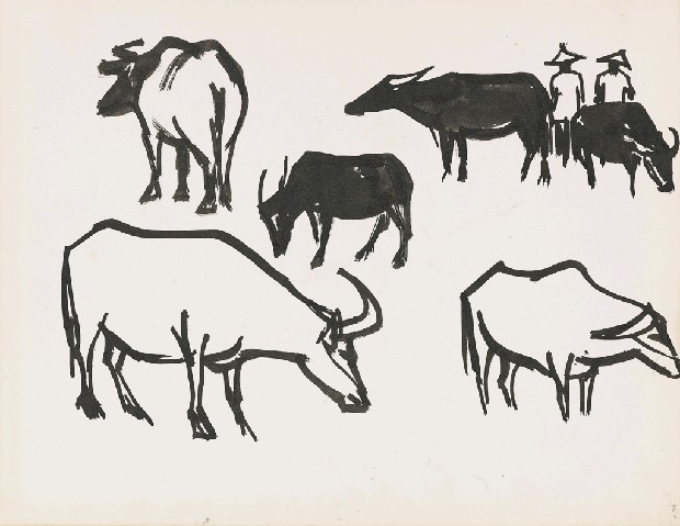 藏品:牛的(1)張圖片