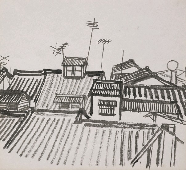 藏品:屋頂的(1)張圖片