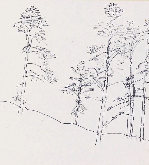 藏品:風景,樹的(1)張圖片