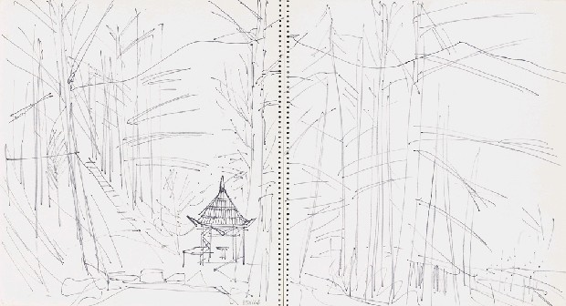 藏品:風景,樹的(2)張圖片