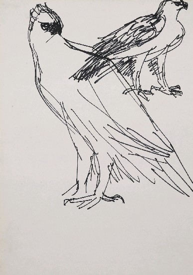 藏品:鷹的(1)張圖片