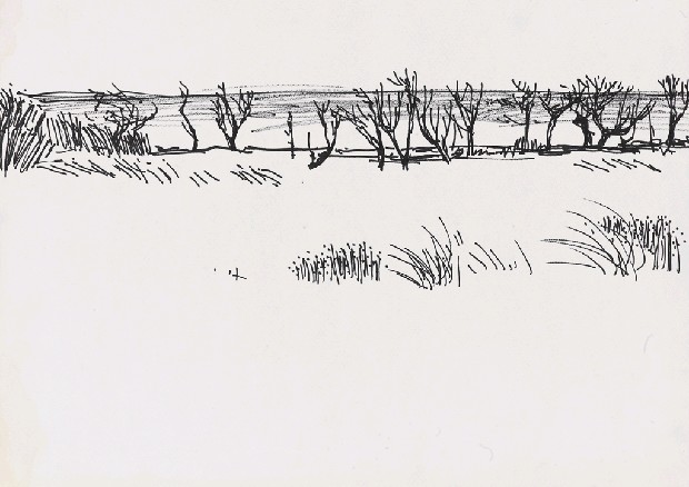 藏品:風景的(1)張圖片