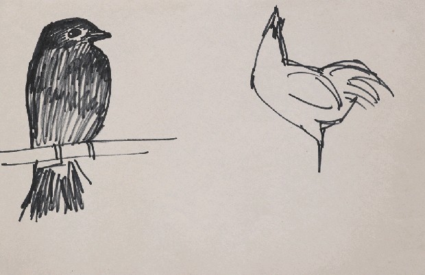 藏品:雙鳥的(1)張圖片