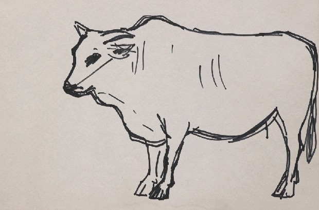 藏品:牛的(1)張圖片