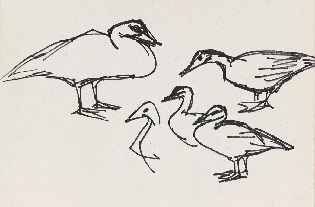 藏品:鴨(四隻)的(1)張圖片