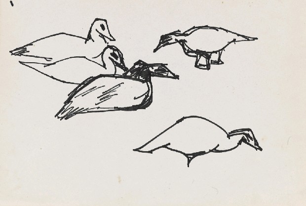 藏品:鴨(五隻)的(1)張圖片