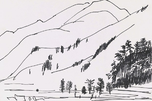 藏品:風景的(1)張圖片