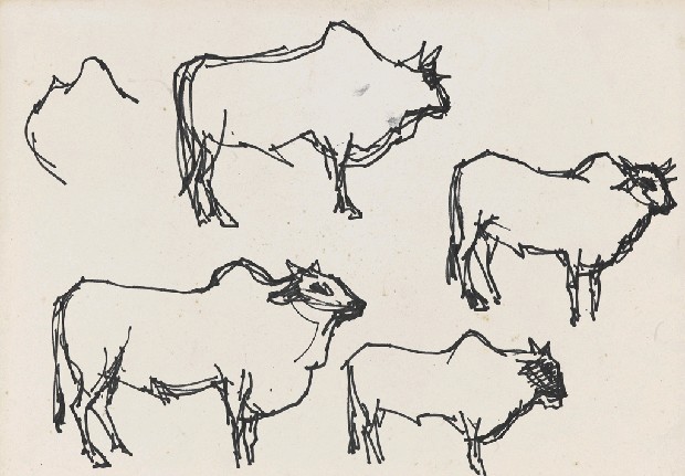 藏品:牛的(1)張圖片