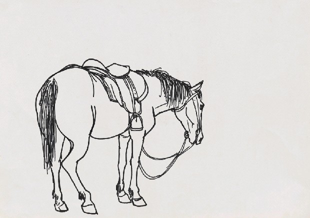 藏品:馬的(1)張圖片
