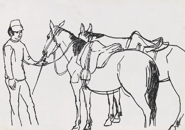 藏品:馬的(1)張圖片