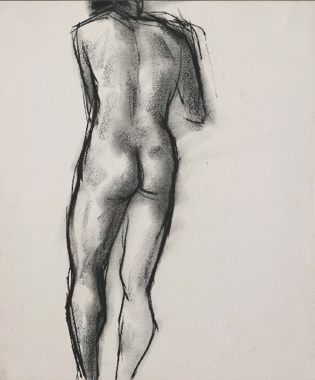 藏品:人體裸男的(1)張圖片