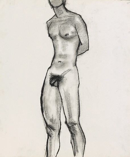 藏品:人體的(1)張圖片