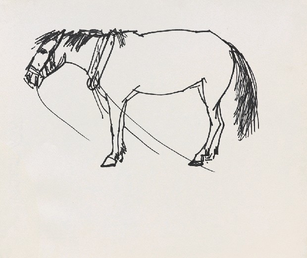 藏品:馬的(1)張圖片