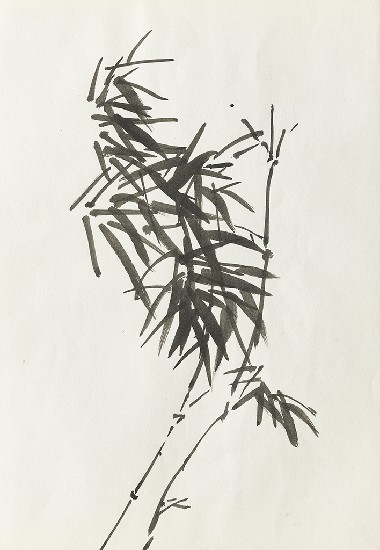 藏品:竹/花的(1)張圖片