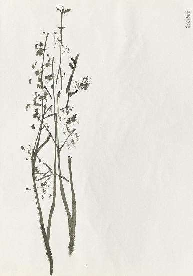 藏品:竹/花的(2)張圖片