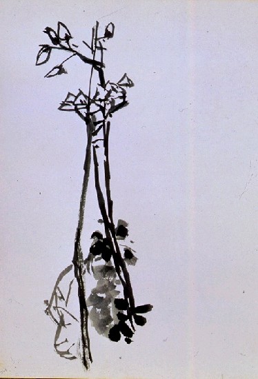 藏品:墨竹的(2)張圖片