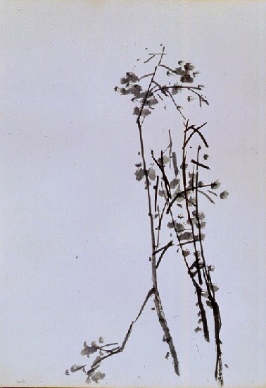 藏品:墨竹的(2)張圖片
