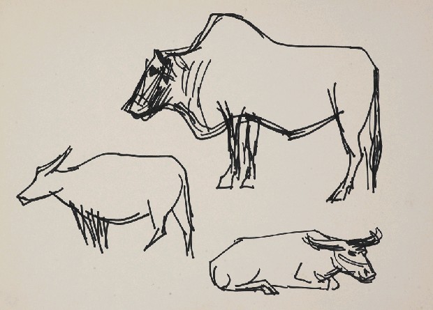 藏品:牛的(1)張圖片