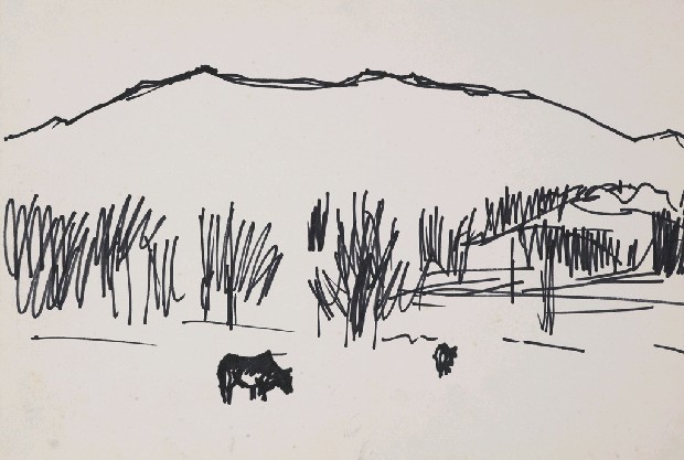 藏品:風景的(1)張圖片