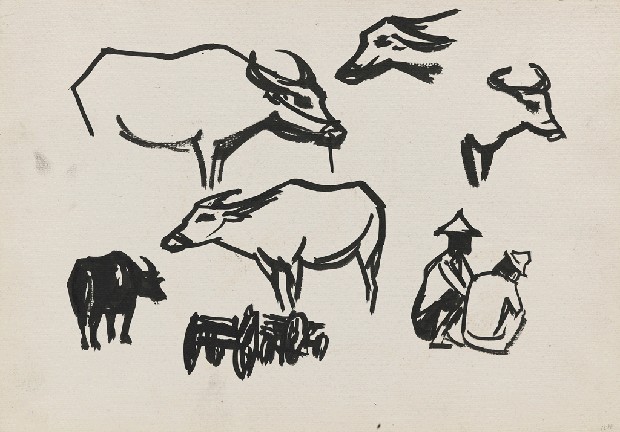 藏品:牛的(1)張圖片