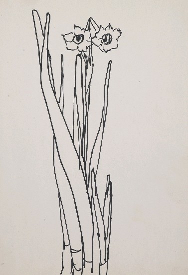 藏品:水仙花的(1)張圖片