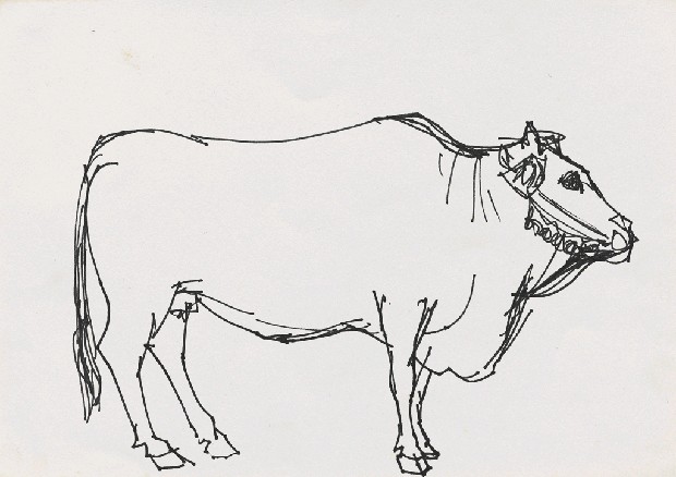 藏品:牛的(1)張圖片