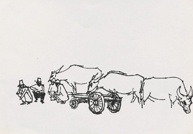 藏品:牛車與牛的(1)張圖片
