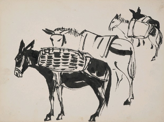 藏品:驢的(1)張圖片