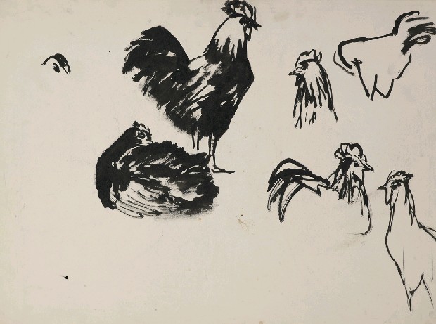 藏品:雞速寫的(1)張圖片