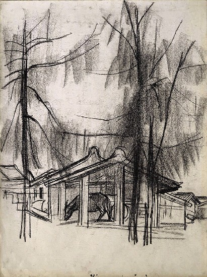 藏品:風景的(1)張圖片