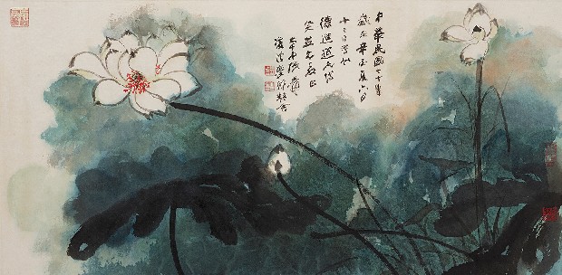 藏品:荷花的(1)張圖片