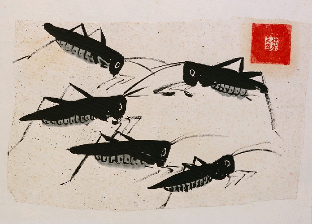 藏品:蝗的(1)張圖片