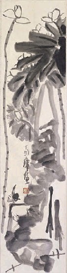 藏品:荷花翠鳥的(1)張圖片