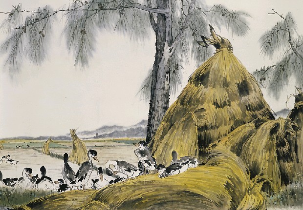 藏品:金色大地的(2)張圖片