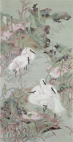 藏品:鷺鶿的(1)張圖片