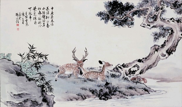 藏品:柏鹿的(1)張圖片