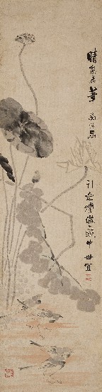 藏品:荷鳥的(1)張圖片